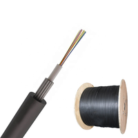 Câble à fibres optiques souterrain GYXTY 8F 24 fils 48FO, câble à fibres optiques monomode 12 cœurs G652D, câble à fibres optiques blindé en acier