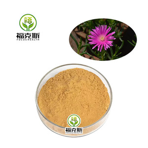 Extracto Puro de <span class=keywords><strong>Lampranthus</strong></span> en Polvo 10:1, Extracto Vegetal Estandarizado para Productos de Salud y Belleza, Suministro a Granel - Product Image 2