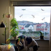 Антиколлизионные оконные наклейки с напоминанием о стеклянных призматах, предотвращающие удары птиц, украшают ваши стеклянные двери