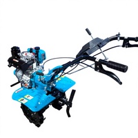 Motoculteur diesel 1050 mm de largeur avec boîte de vitesses 2,5 L pour le désherbage des vergers, exploitation agricole moyenne, Vietnam, Philippines