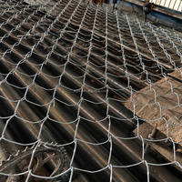 En stock Clôture grillagée galvanisée à mailles losangées, mailles de 25-100 mm, fils de 1,20-5,0 mm, Expédition rapide, pour la sécurité des fermes et des cours