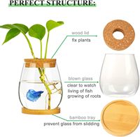 Aquarium élégant pour poissons en verre avec couvercle en bois Betta Fish Bowl et station de propagation des plantes hydroponiques