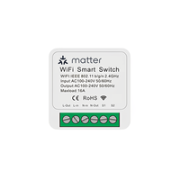 Module d'automatisation universel Touchmi Matter 16A, solution DIY pour maison intelligente, mini interrupteur intelligent Wifi