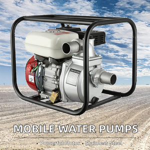 Mini bombas de riego agrícola automáticas de alta capacidad de 3/4 pulgadas, bombas de agua de gasolina móviles con soporte OEM personalizado - Product Image 2