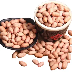 Hot Selling Raw Groundnut Kernel