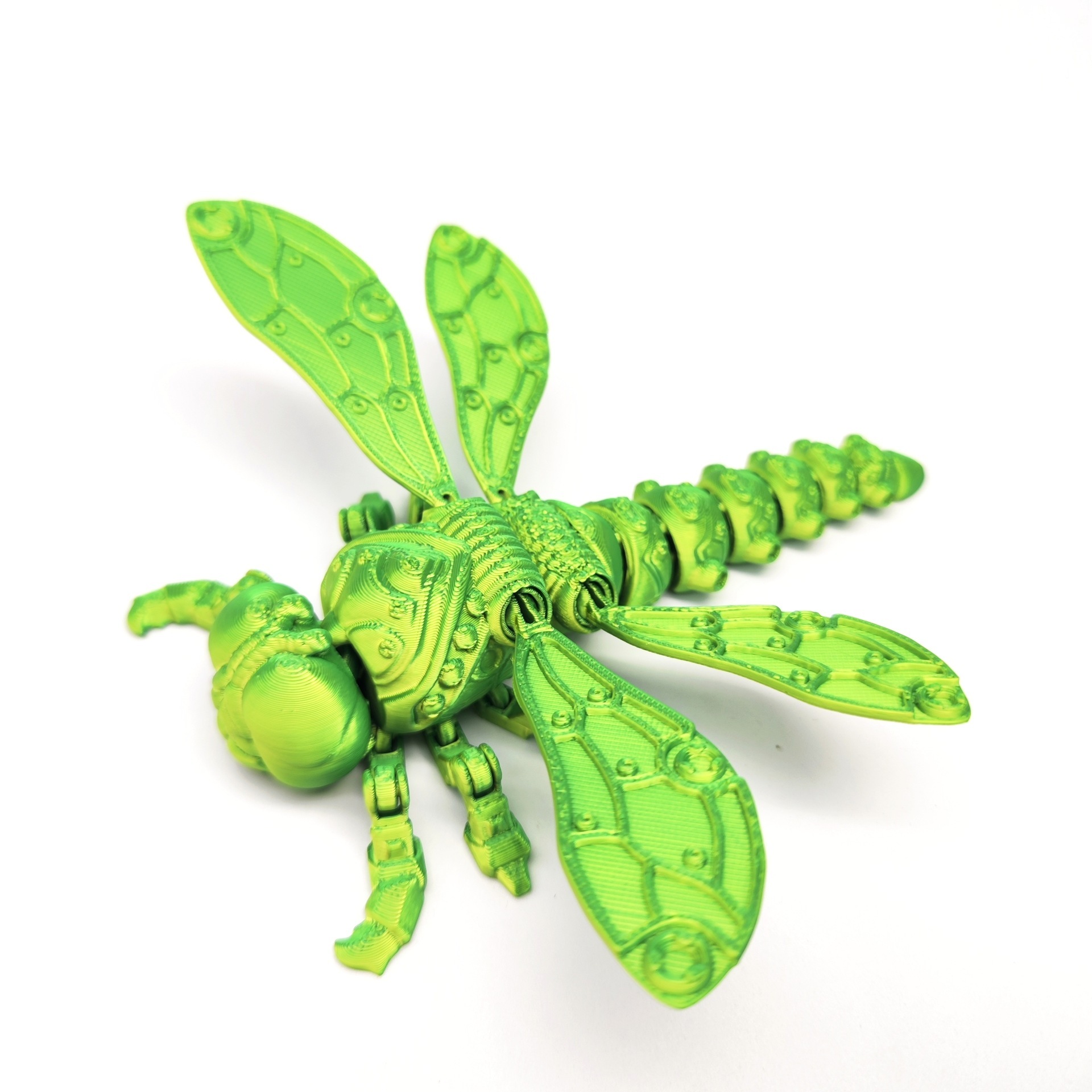 Libélula Amarillo-Verde