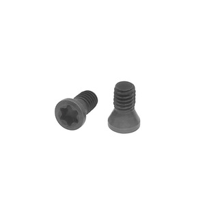 Tornillo para fresa M2.5x5.5 D3.7, cabezal Torx gris, accesorio de portaherramientas CNC de alta resistencia - Product Image 1