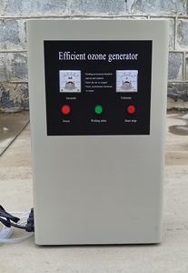 Purificador de Agua Industrial de Amplia Aplicación 3G 5G, Generador de Ozono Portátil para Tratamiento de Agua - Product Image 3