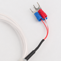 Sonde de température Pt100 autocollante étanche à montage en surface, thermomètre RTD pour tuyaux CVC et roulements de moteur