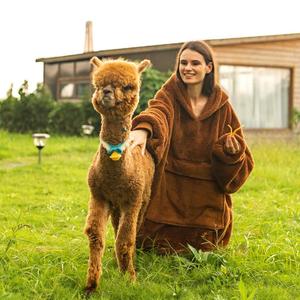 Áo khoác hoodie chăn mềm mại 100% polyester dành cho người lớn, kiểu dáng rộng, chất liệu lông cừu Sherpa, bán buôn - Product Image 3