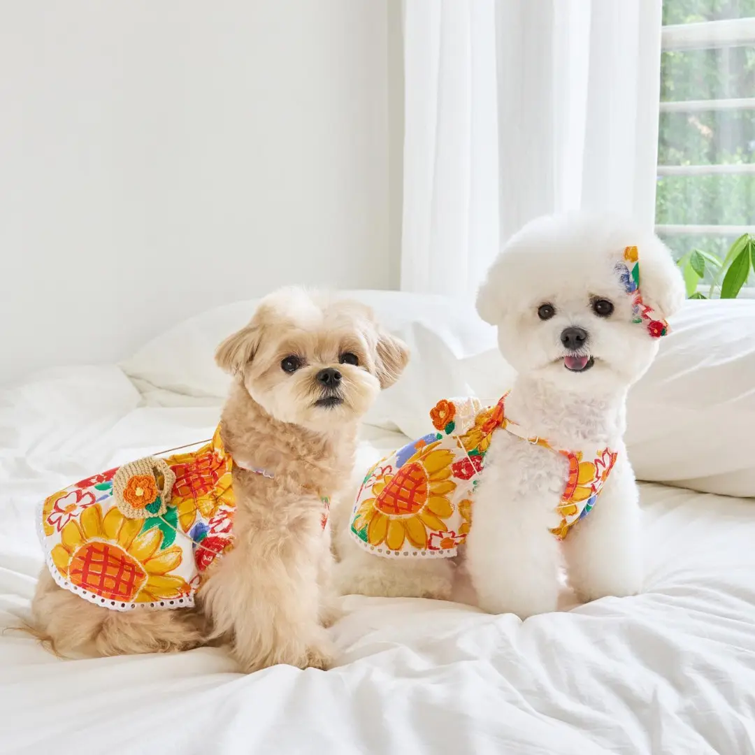 Sunflower Printing Lovely Pet Lovers Clothes Spring Summer Dog Shirt And Dress