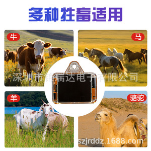 Etiqueta de Oreja con GPS Solar 4G para Animales, para Rastreo de Ganado, Ovejas, Caballos y Camellos - Product Image 3