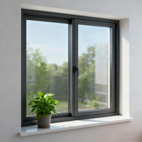 Ventana Cortafuego de Acero con Aislamiento Térmico, Directo de Fábrica, Ventana de Puente Roto Ignífuga para Ingeniería, Venta al por Mayor
