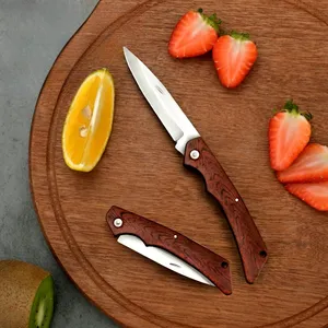Couteau de poche pliant à lame en acier inoxydable avec manche en plastique Couteau d'extérieur pour le camping Logo personnalisé