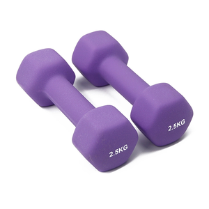 Cheap <strong>Ladies</strong> Durable Sports Equipment Home Indoor Wholesale <strong>Dumbbell</strong> - Product Image 3