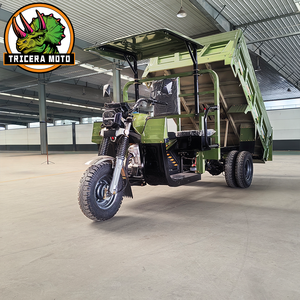 Triciclo Volquete de Carga de Cinco Ruedas Motorizado con Motor de 250cc Refrigerado por Agua, Autocargable Hidráulico, Freno de Aceite Flotante Completo Grande - Product Image 1