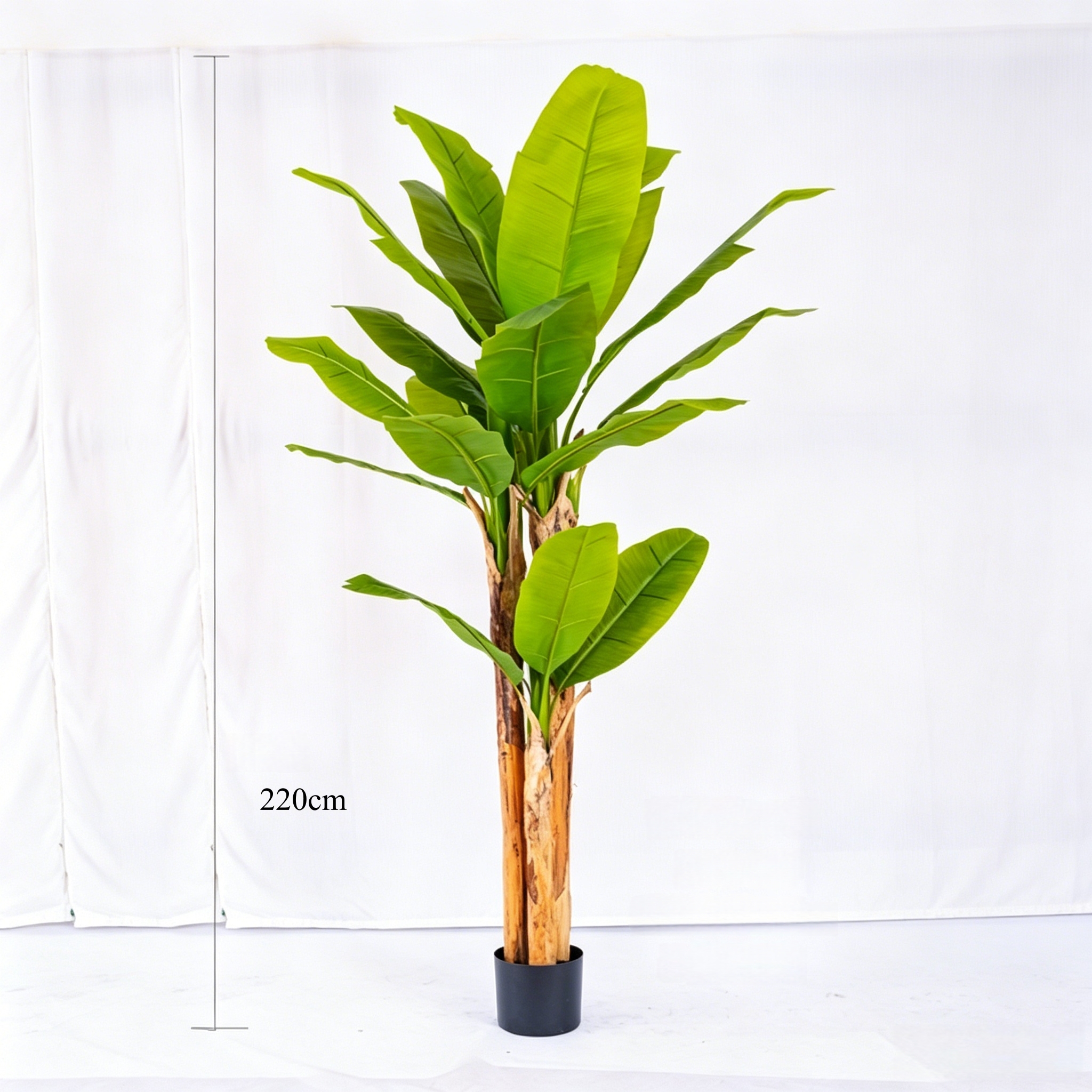 220cm