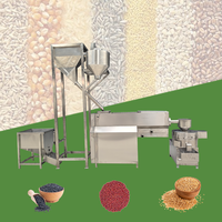 Machine de lavage et de séchage automatique à fonctionnement simple pour céréales, graines de blé, riz et graines de sésame, capacité 2000 kg/h
