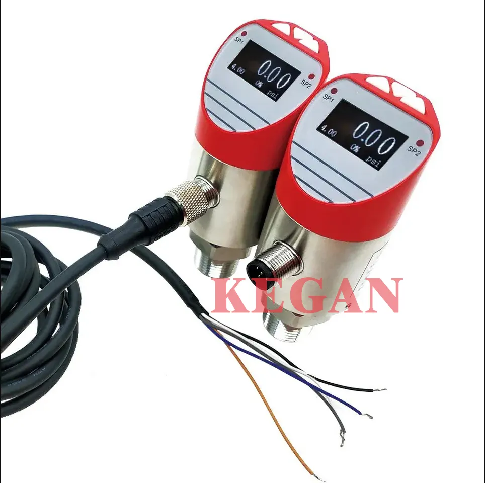 China Manufacturer LCD Water Waterproof Rubber Cover Absolute And Gauge Digital Pressure Gauge