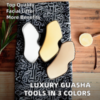 Outils de Massage de levage de soins du visage en acier inoxydable de haute qualité Silver Gold & Rose Gold Guasha Jade Roller