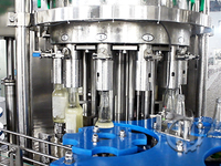 Remplisseur de bouteilles à contre-pression pour boissons gazeuses Machine à bière isobare automatique