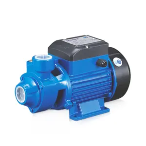 Professional manufacturer domestic peripheral water pump