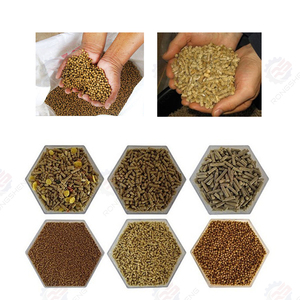 Nueva Máquina para Hacer Pellets de 200 Kg/h para Uso Doméstico, Máquinas de Procesamiento de Alimentos para Animales, Alimento para Pollos, Peces, Palomas y Aves - Product Image 6