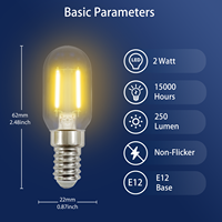 Ampoule à filament LED T22 E14 Mini Globe avec corps en verre 2W 220V-240V 2700K certifié RoHS Garantie de 2 ans pour un usage résidentiel