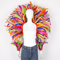 Ensemble de 3 plumes arc-en-ciel, costume en plumes fait à la main pour défilé de carnaval, spectacle de scène d'Halloween, festival, cosplay, accessoire photo