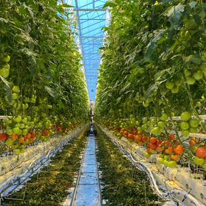Système d'agriculture intelligente en <span class=keywords><strong>PVC</strong></span>, culture hydroponique sans sol, <span class=keywords><strong>gouttière</strong></span> verticale en <span class=keywords><strong>PVC</strong></span> pour substrat de serre - Product Image 1