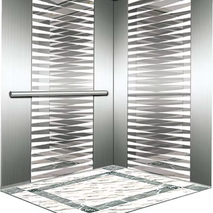 Ascenseur Privé Personnalisé Poids 400 Kg/500 Kg/600 Kg Type de Traction Ascenseur Domestique Électrique Ascenseur Passagers Villa - Product Image 1