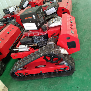 <span class=keywords><strong>Tondeuse</strong></span> à gazon 220 v, moteur très puissant avec <span class=keywords><strong>tondeuse</strong></span> à gazon, jardin, <span class=keywords><strong>prix</strong></span> supplémentaires - Product Image 2