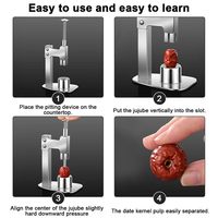 Décortiqueur de dattes rouges en acier inoxydable, outil portable pour retirer les noyaux de cerises et d'olives, décortiqueur de fruits