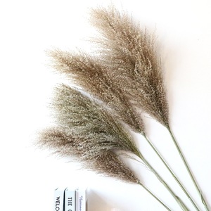 <span class=keywords><strong>Flores</strong></span> Secas de Yunnan, Cañas Pequeñas, Juego de Cañas, Madera de Caña, Suministros, Estilo Salvaje - Product Image 4
