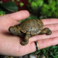 2024 nouveaux produits tortue de mer sculpture à vendre résine tortue décoration figurine souvenir résine artisanat matériaux