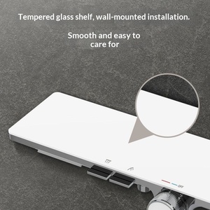 R&T S20mini Chrome Shower Set with Slide Bar Wall <b>Mount</b> Shower Head Tempered Glass Storage No Top <b>Spray</b> - Product Image 2