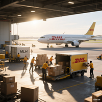 Envío Exprés DHL Rápido y Económico de China a México, Costa Rica, Chile, Perú, Dubái, Sudamérica y Canadá