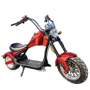 Direct selling adult electric new model off road motorcycle standing scooter 1000w 60v 20ah /electric scooter electric moped wi