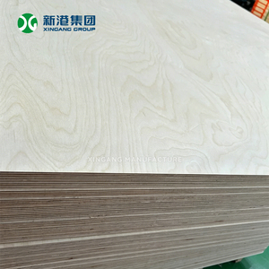 Contreplaqué de bouleau de qualité professionnelle pour l'exportation, fournisseur chinois du groupe Xingang, prix d'usine en gros - Product Image 3