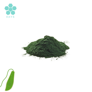 תוספת <span class=keywords><strong>euglena</strong></span> gracilis <span class=keywords><strong>euglena</strong></span> תמצית אבקת - Product Image 3
