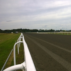Clôture de cheval à <span class=keywords><strong>2</strong></span> rails en plastique PVC solide pour terrains d'entraînement et arénas d'équitation à prix d'usine compétitif - Product Image 2