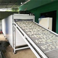 Four de séchage continu à bande transporteuse pour briquettes de charbon de haute capacité
