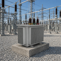 Transformateur de puissance triphasé immergé dans l'huile pour extérieur, 300 KVA, 450 KVA, 1000 KVA, élévateur de tension 11 kV, 415 V, 480 V, ISO9001, pour usage industriel