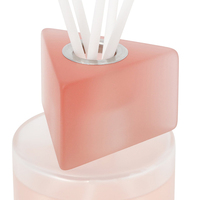 Diffuseur de roseaux en verre de luxe de marque privée personnalisé diffuseur de parfum d'ambiance emballage de diffuseur de roseaux diffuseurs d'arômes de parfum d'intérieur