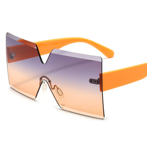 DOISYER 2021 Lunettes de soleil carrées surdimensionnées personnalisées pour femmes, style PC tendance, grandes montures sans bordure, jaunes, violettes, bleues, grises - Product Image 6