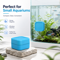 Nettoyeur magnétique pour aquarium miniature, fabricant d'outils de nettoyage de réservoir de poissons flottants double face, OEM/ODM, respectueux de l'environnement