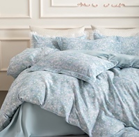 Parure de lit quatre pièces en coton pur double épaisseur, fil à haute densité, bleu clair, naturelle, douce et agréable pour la peau