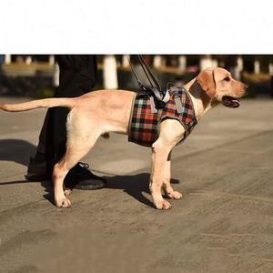 Free Sample Adjustable <b>Dog</b> Chest Belt Elderly Pet Lift Harness Disabled Joint Injuries <b>Sling</b> Balance Support <b>Dog</b> Walk Assist - Product Image 1