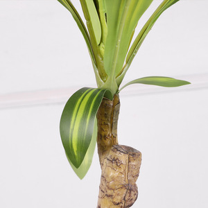 Bonsái artificial de madera de hierro brasileña Qihao de 1,47 m y 1,8 m, plantas decorativas de interior para sala de estar, estilo escandinavo - Product Image 4