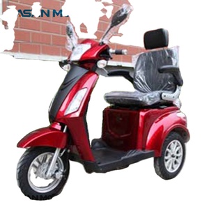 Scooter à trois roues EEC <span class=keywords><strong>G3</strong></span> 25 km/h pour personnes âgées avec auvent, moteur 500W, autonomie 60-80 km - Product Image 2